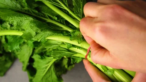 Cime di rape Stock Footage 296042277