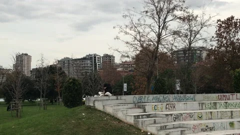 Çimende oturmak Stock Footage 144817214