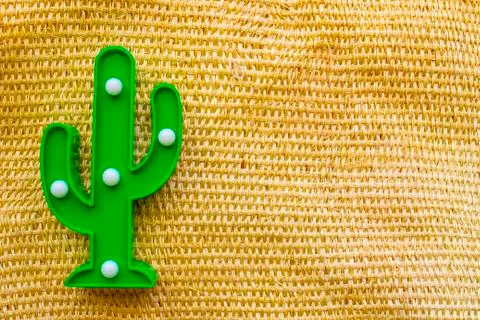 Cinco de Mayo background. A cactus on a straw rural bag background texture Stock Photos
