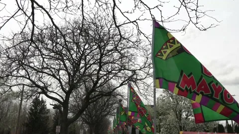 Cinco De Mayo Flag 4k Wide Angle Video stock 190717122