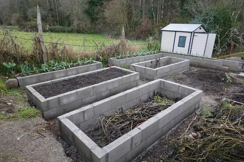 Cinder block raised beds for backyard gardening Stock-Fotos