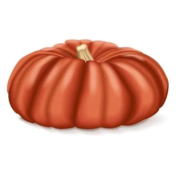 Cinderella pumpkin. Winter squash. Stock Illustration