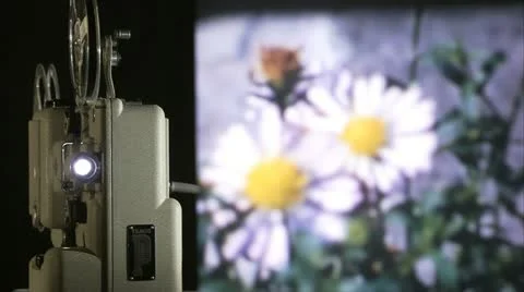 CINE FLOWERS Stock-Footage 21980970