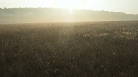 Cinelifter drone low altitude flight Stock Footage 163954353