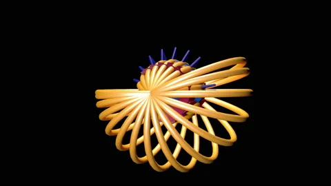 Cinema 4D step abstract animation - 4k - ProRes Stock Footage 144042061