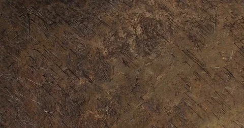 Cinema 4k down facing, spinning aerial above a dead forest, near Grand cany.. Stock Footage 72389576