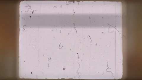 Cinema Blank Screen Scratches Dust Stock Footage 253174729