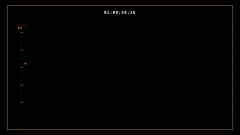 Cinema Camera Exposure Value Ladder Overlay On Black Background Видео 342718651