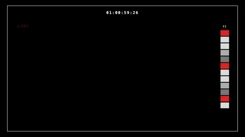 Cinema Camera False Color Scale Overlay On Black Background Видео 342718650