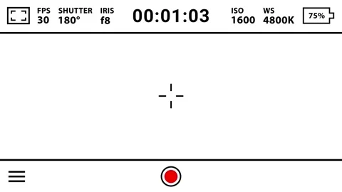 Cinema Camera-like Portrait Recording Screen UI on White Background Stock Footage 316107738