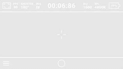 Cinema Camera-like Portrait Recording Screen UI on Transparent Background Stock Footage 317057037