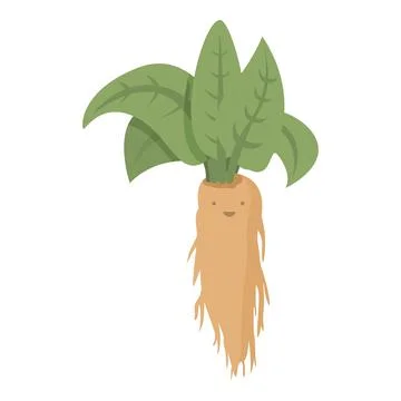 Mandrake Root Vector Character Isolated on White Stock Vector