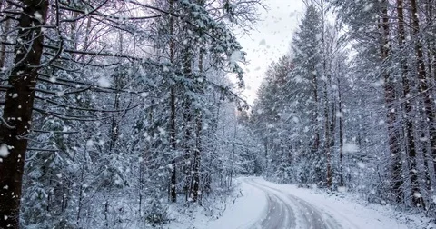 CINEMAGRAPH, 4k, falling snow in the winter forest, loop Stock Footage 82732267