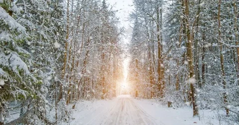 CINEMAGRAPH, 4k, falling snow in the winter forest, loop Stock Footage 82732594