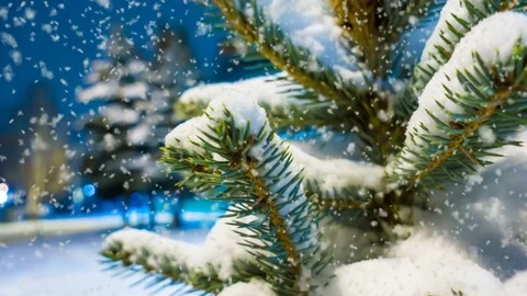 CINEMAGRAPH, 4k, falling snow in the winter forest, loop Stock Footage 83183433