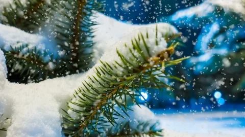 CINEMAGRAPH, 4k, falling snow in the winter forest, loop Stock Footage 83184087