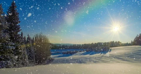 CINEMAGRAPH, 4k, falling snow in the winter forest, loop Stock Footage 83371267