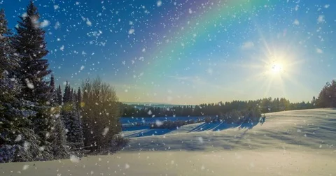 CINEMAGRAPH, 4k, falling snow in the winter forest, loop Stock Footage 83371482