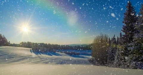 CINEMAGRAPH, 4k, falling snow in the winter forest, loop Stock Footage 83372115