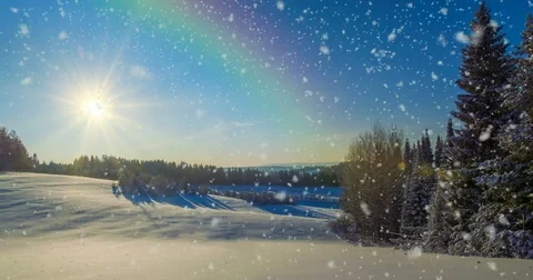 CINEMAGRAPH, 4k, falling snow in the winter forest, loop Stock Footage 83372513
