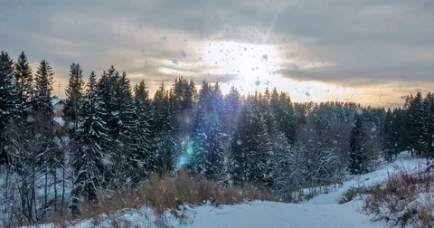CINEMAGRAPH, 4k, falling snow in the winter forest, loop Stock Footage 83569040