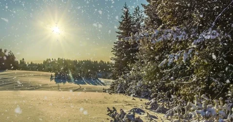 CINEMAGRAPH, 4k, falling snow in the winter forest, loop Stock Footage 83719128