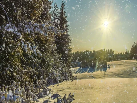 CINEMAGRAPH, 4k, falling snow in the winter forest, loop Stock Footage 83720198