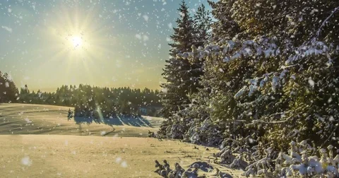 CINEMAGRAPH, 4k, falling snow in the winter forest, loop Stock Footage 83720769