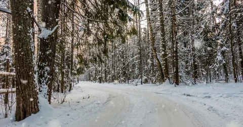 CINEMAGRAPH, 4k, falling snow in the winter forest, loop Stock Footage 84081285