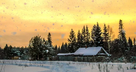 CINEMAGRAPH, 4k, falling snow in the winter forest, loop Stock Footage 86294123