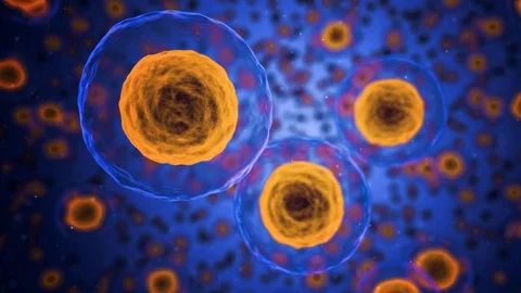 Cinemagraph of active cells in body background Video stock 121815928