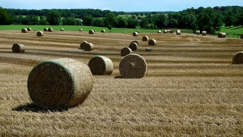 Cinemagraph with bales of hay Stock Footage 85047835