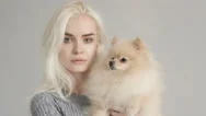 Cinemagraph Beautiful Blonde Woman With Her Spitz Isolated On Grey Stock Footage
