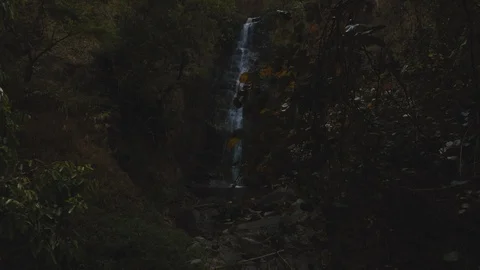 Cinemagraph of beautiful waterfall hidden in forest Stock Footage 87306437