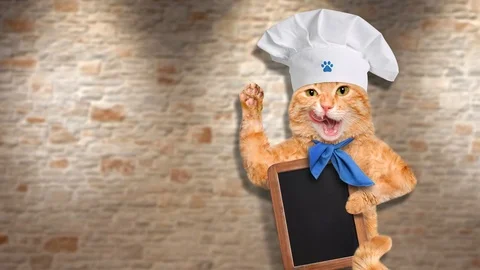 Cinemagraph - Cat chef . Animation . Stock Footage 78651172