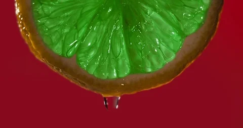 Cinemagraph - Close up or macro of a green slice of lemon Stock Footage 99623127