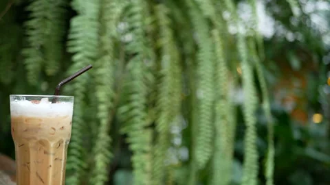 Cinemagraph of a cup of cold ice coffee with green leaf of garden view Stock Footage 133864273