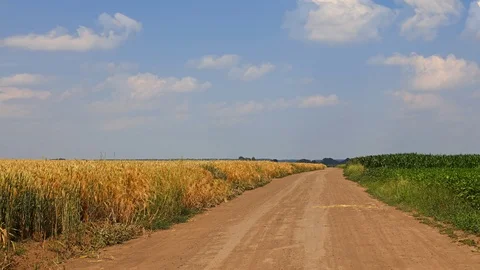 Cinemagraph of earth road between green fields Stock Footage 120840985