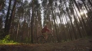 Cinemagraph Of Female Cyclist Riding Bicycle In Pine Forest In Early Autumn Stock Footage