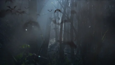 Cinemagraph of ghost in haunted forest with bats Halloween Stock Footage