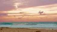 Cinemagraph Of Group Of Surfers Surfing In The Mediterranean Sea At Sunset  Stock Footage