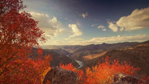 Cinemagraph Loop - Autumn Trees Over Valley - motion photo 動画素材 98710104