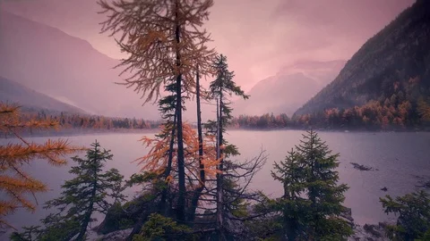 Cinemagraph Loop - Cone Trees and Snowy Valley - motion photo Stock Footage 98713995