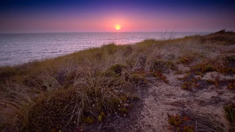 Cinemagraph Loop - Grass o the Beach, Su... | Stock Video | Pond5