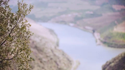 Cinemagraph Loop - Landscape with River - motion photo Stock Footage 98710997