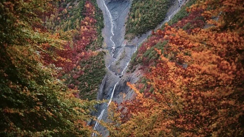 Cinemagraph Loop - Mountain through the Trees - motion photo Stock Footage 98754187