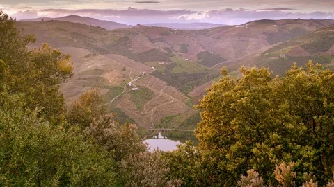 Cinemagraph Loop - River and Hills through the Trees - motion photo Stock Footage 98709645