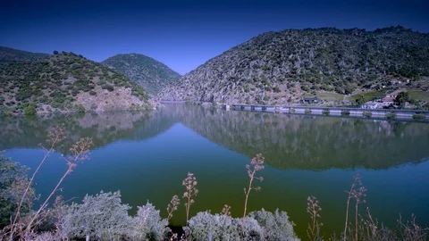 Cinemagraph Loop - Train Moving by River - motion photo Stock Footage 98754648