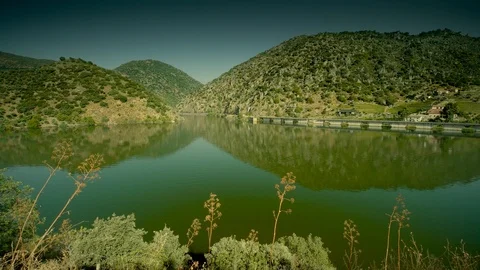Cinemagraph Loop - Train Moving by River - motion photo Stock Footage 98754655