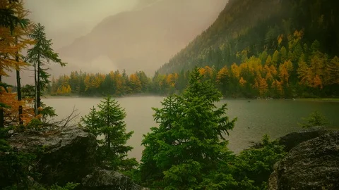 Cinemagraph Loop - Trees at the Lake - motion photo Stock Footage 98714053